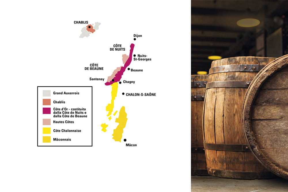 Borgogna: Terra di Vini e Castelli