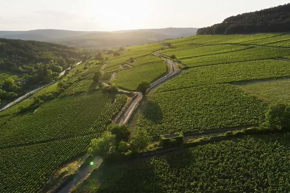 Borgogna: Terra di Vini e Castelli